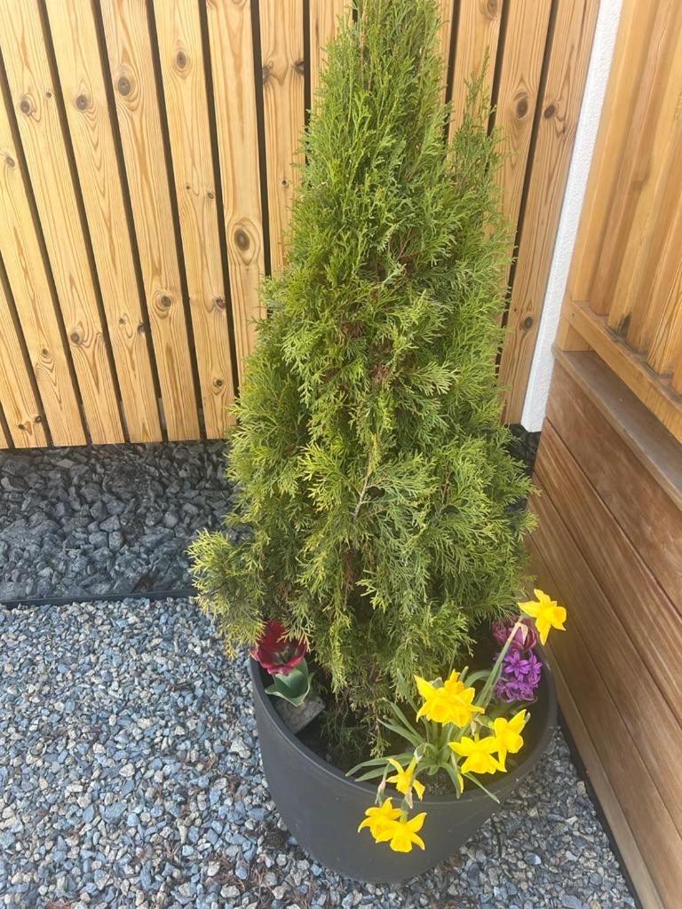 Domcek Pod Vezami S Virivkou A Grilom, Pri Termalnom Kupalisku Daire Liptovský Ján Dış mekan fotoğraf